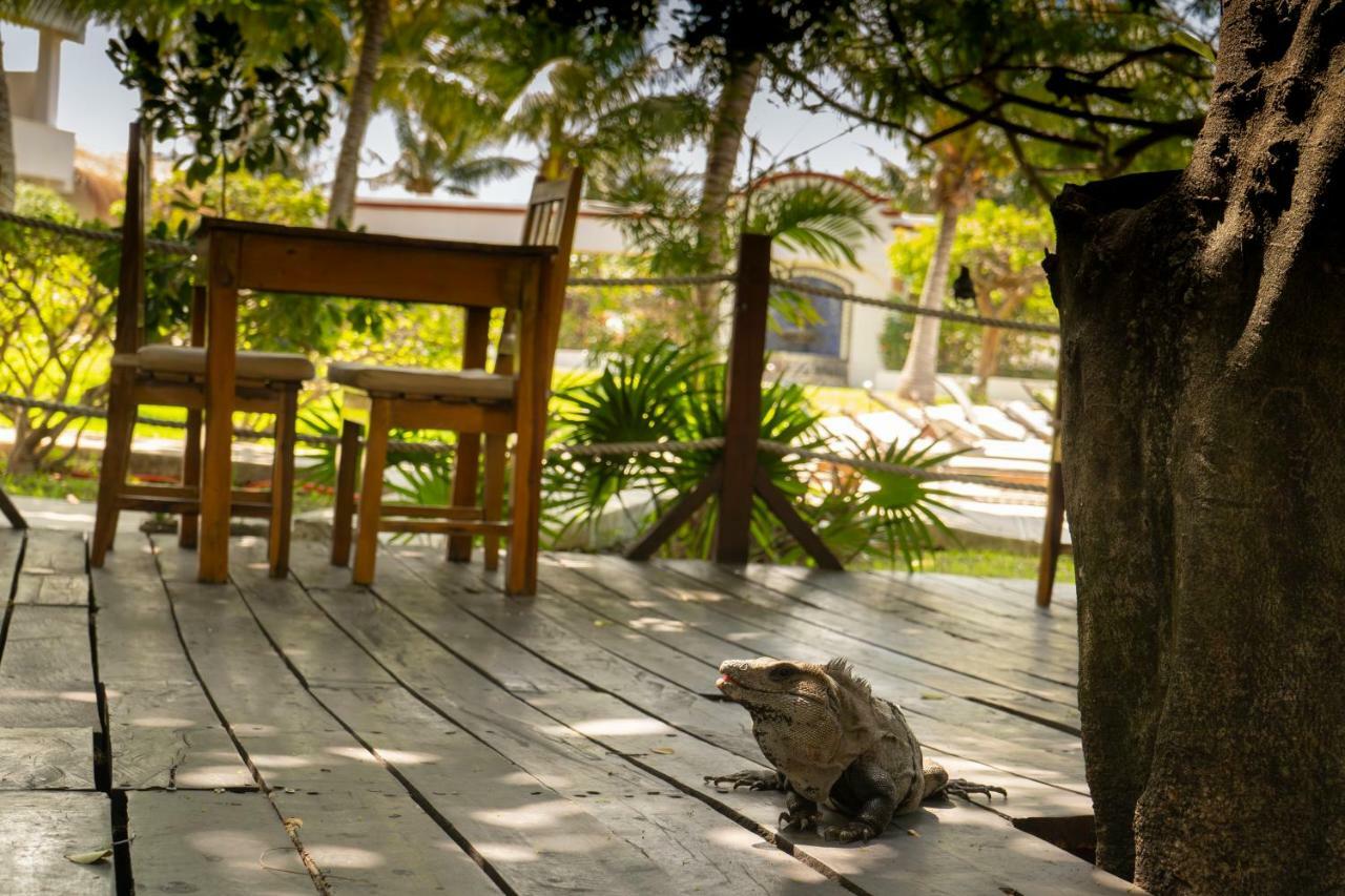 Marina Paraiso Isla Mujeres Hotel ภายนอก รูปภาพ